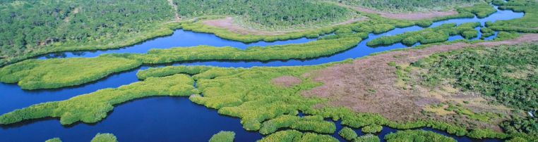 Environmental Cleanup