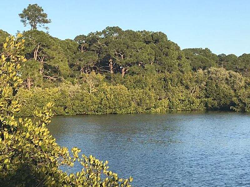 Oyster Creek Boardwalk News Image