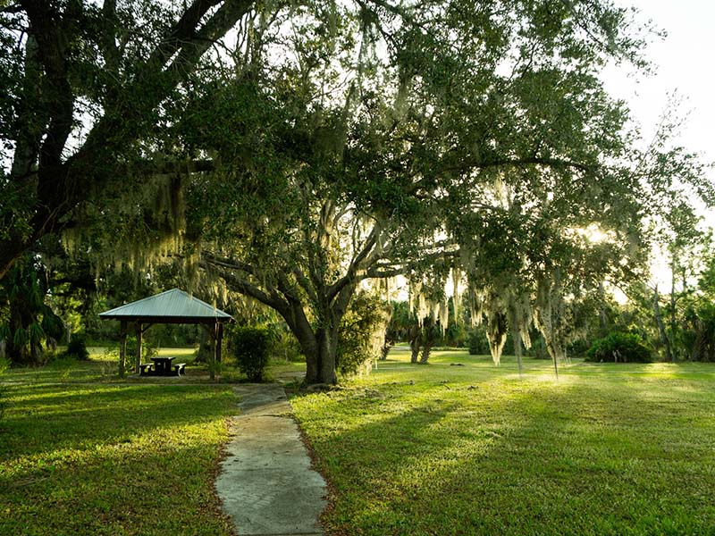 Walking Path at Tippecanoe II Environmental Park News Image