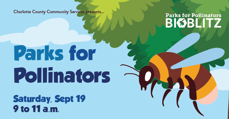 Charlotte County to Host First-Ever Parks for Pollinators BioBlitz, Seeks Community Exhibitors