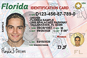 Driver License